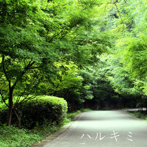 DERRIXON动画下载
